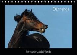 Garranos (Tischkalender 2021 DIN A5 quer)