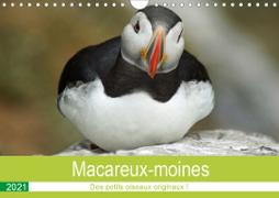 Macareux-moines Des petits oiseaux originaux! (Calendrier mural 2021 DIN A4 horizontal)