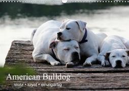 American Bulldog - stolz, loyal, einzigartig (Wandkalender 2021 DIN A3 quer)