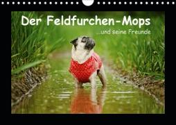Der Feldfurchen-Mops (Wandkalender 2021 DIN A4 quer)