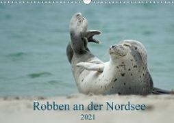 Robben an der Nordsee (Wandkalender 2021 DIN A3 quer)
