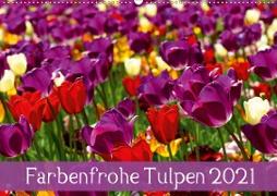 Farbenfrohe Tulpen 2021 (Wandkalender 2021 DIN A2 quer)