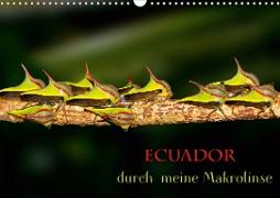 Ecuador durch meine Makrolinse (Wandkalender 2021 DIN A3 quer)