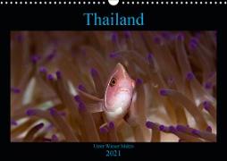 Thailand - Unter Wasser Makro (Wandkalender 2021 DIN A3 quer)