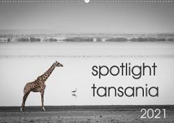 spotlight tansania (Wandkalender 2021 DIN A2 quer)