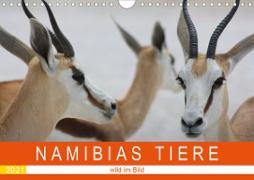 Namibias Tiere - wild im Bild (Wandkalender 2021 DIN A4 quer)