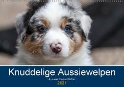 Australian Shepherd Welpen 2021 (Wandkalender 2021 DIN A2 quer)