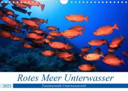Rotes Meer Unterwasser (Wandkalender 2021 DIN A4 quer)