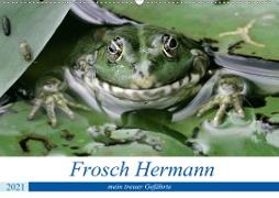Frosch Hermann, mein treuer Gefährte. (Wandkalender 2021 DIN A2 quer)