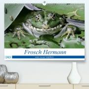 Frosch Hermann, mein treuer Gefährte. (Premium, hochwertiger DIN A2 Wandkalender 2021, Kunstdruck in Hochglanz)