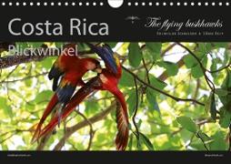 Costa Rica Blickwinkel 2021 (Wandkalender 2021 DIN A4 quer)