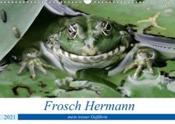 Frosch Hermann, mein treuer Gefährte. (Wandkalender 2021 DIN A3 quer)