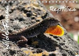Wilde Fauna - Reptilien (Tischkalender 2021 DIN A5 quer)