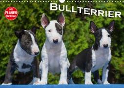 Bullterrier (Wandkalender 2021 DIN A3 quer)
