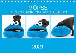 MÖPSE - tierische Momente im Fotostudio (Tischkalender 2021 DIN A5 quer)