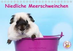 Niedliche Meerschweinchen (Tischkalender 2021 DIN A5 quer)