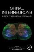 Spinal Interneurons