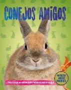 Conejos Amigos (Rabbit Pals)