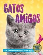 Gatos Amigos (Cat Pals)