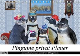 Pinguine privat Planer (Tischkalender 2021 DIN A5 quer)