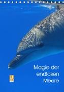 Magie der endlosen Meere (Tischkalender 2021 DIN A5 hoch)