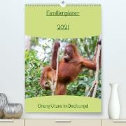 Familienplaner 2021 - Orang Utans im Dschungel (Premium, hochwertiger DIN A2 Wandkalender 2021, Kunstdruck in Hochglanz)