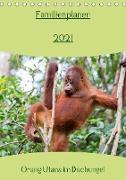 Familienplaner 2021 - Orang Utans im Dschungel (Tischkalender 2021 DIN A5 hoch)