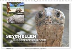 Seychellen Riesenschildkröten (Wandkalender 2021 DIN A3 quer)
