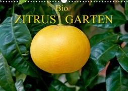 Bio Zitrus Garten (Wandkalender 2021 DIN A3 quer)