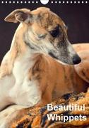 Beautiful Whippets (Wall Calendar 2021 DIN A4 Portrait)