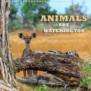 Animals are watching you (Wall Calendar 2021 300 × 300 mm Square)