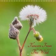 Flowers from the wild (Wall Calendar 2021 300 × 300 mm Square)