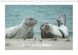 Seals on the Beach (Wall Calendar 2021 DIN A4 Landscape)
