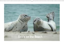 Seals on the Beach (Wall Calendar 2021 DIN A3 Landscape)