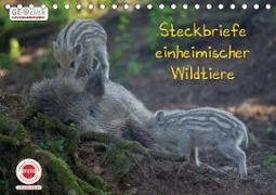 GEOclick Lernkalender: Steckbriefe einheimischer Wildtiere (Tischkalender 2021 DIN A5 quer)