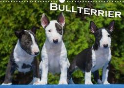 Bullterrier (Wandkalender 2021 DIN A3 quer)