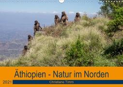 Äthiopien - Natur im Norden (Wandkalender 2021 DIN A3 quer)