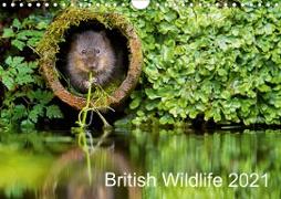 British Wildlife 2021 (Wall Calendar 2021 DIN A4 Landscape)