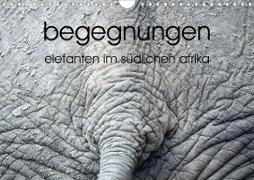 begegnungen - elefanten im südlichen afrika (Wandkalender 2021 DIN A4 quer)