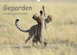 Geparden - Afrikas grazile Katzen (Wandkalender 2021 DIN A3 quer)