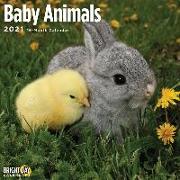 Cal 2021- Baby Animals Wall