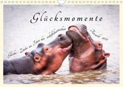 Glücksmomente Glücks-Zitate zu Fotos der großartigen südafrikanischen Tierwelt (Wandkalender 2021 DIN A4 quer)