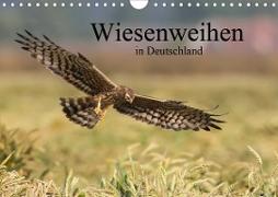 Wiesenweihen in Deutschland (Wandkalender 2021 DIN A4 quer)