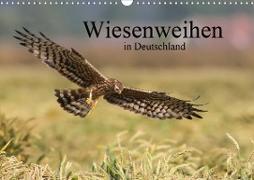 Wiesenweihen in Deutschland (Wandkalender 2021 DIN A3 quer)