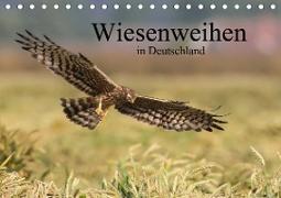 Wiesenweihen in Deutschland (Tischkalender 2021 DIN A5 quer)