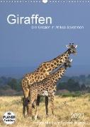 Giraffen - Die Grazien in Afrikas Savannen (Wandkalender 2021 DIN A3 hoch)