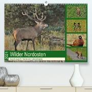 Wilder Nordosten - Aug in Aug mit Tieren der Ostseeregion (Premium, hochwertiger DIN A2 Wandkalender 2021, Kunstdruck in Hochglanz)