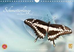 Schmetterlinge - ein Traum in Pastell (Wandkalender 2021 DIN A4 quer)