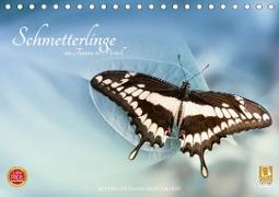 Schmetterlinge - ein Traum in Pastell (Tischkalender 2021 DIN A5 quer)