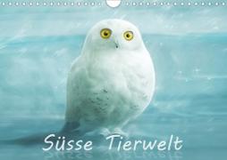 Süsse Tierwelt / CH-Version / Geburtstagskalender (Wandkalender 2021 DIN A4 quer)